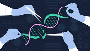 CRISPR genome editing - Integrated DNA Technologies