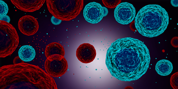 Elektrofyziologie in vitro