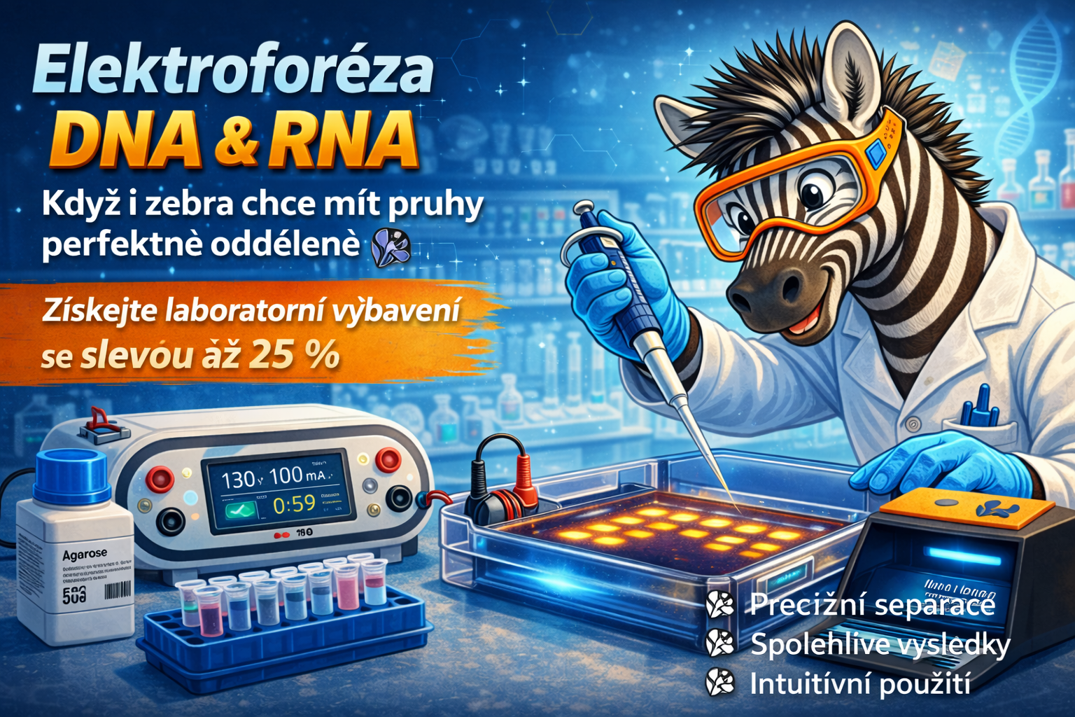 Elektroforéza DNA a RNA