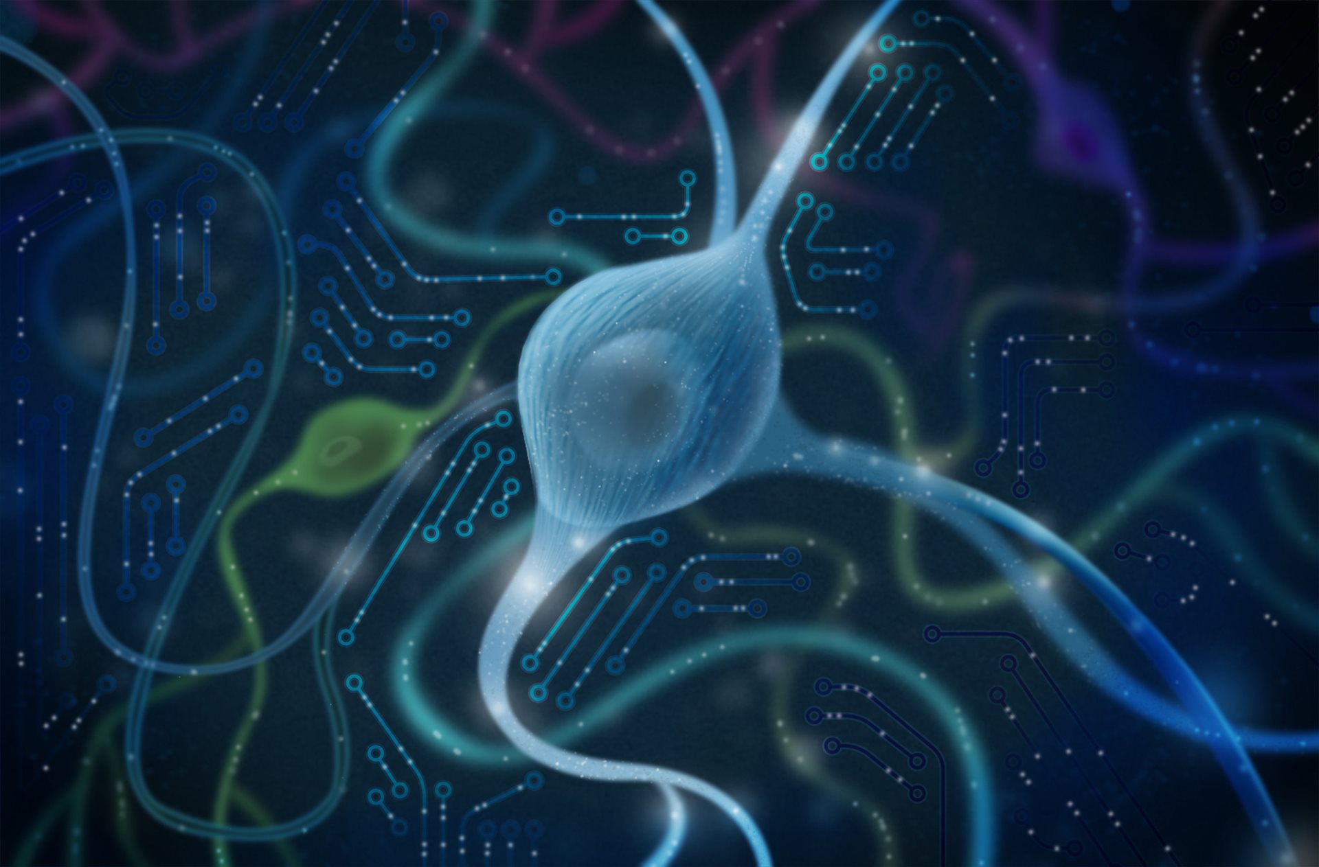 Elektrofyziologie in vitro