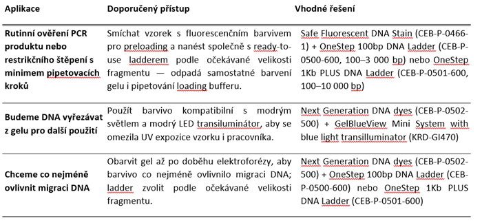 Bez-nazvu.png
