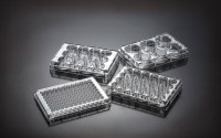 JETBIOFIL-TCP011048.jpg