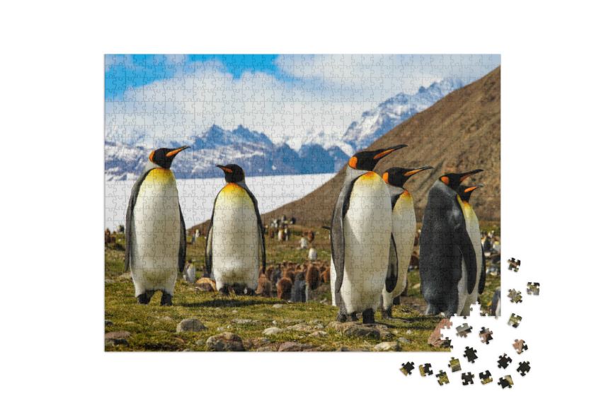 PUZZLE-3.JPG PUZZLE-3.JPG