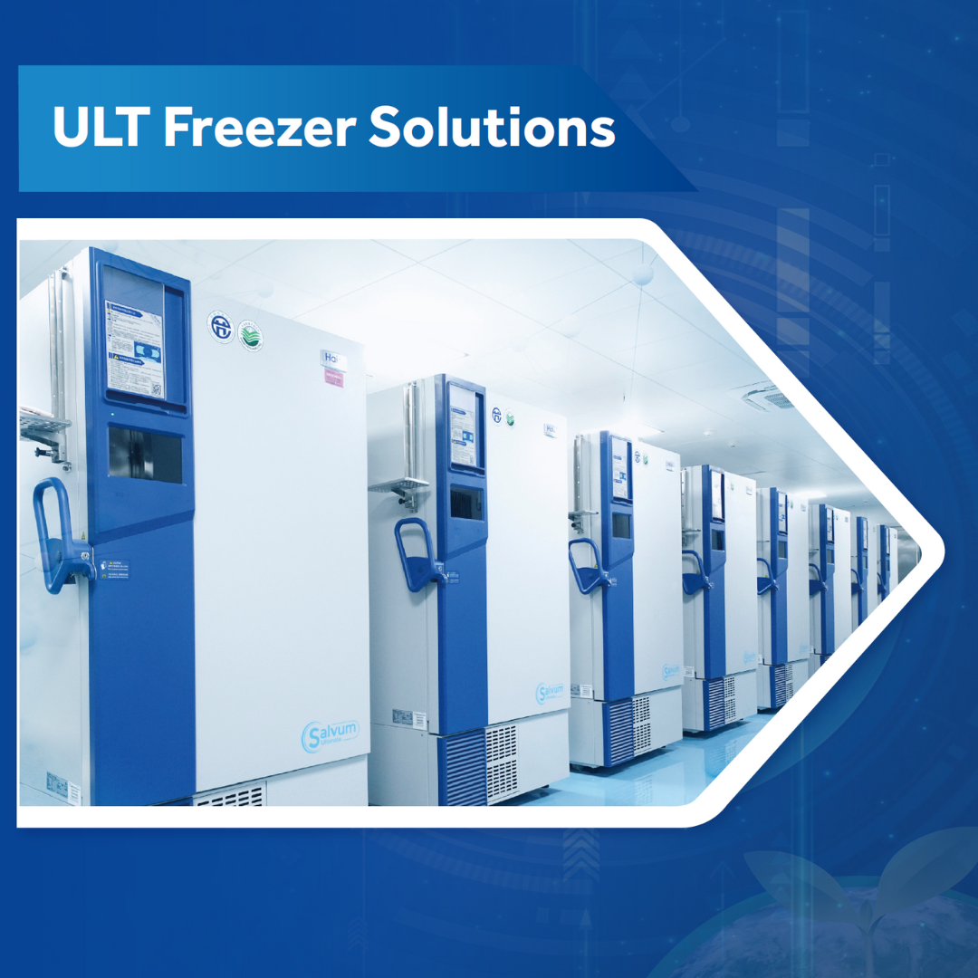 AKCE HAIER PODZIM ZIMA 2025