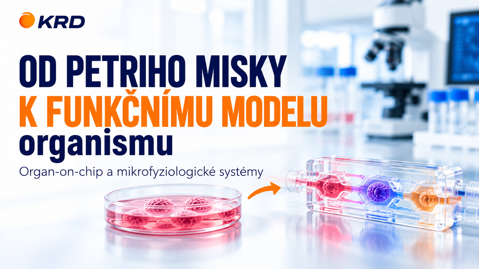 Od Petriho misky k funkčnímu modelu organismu