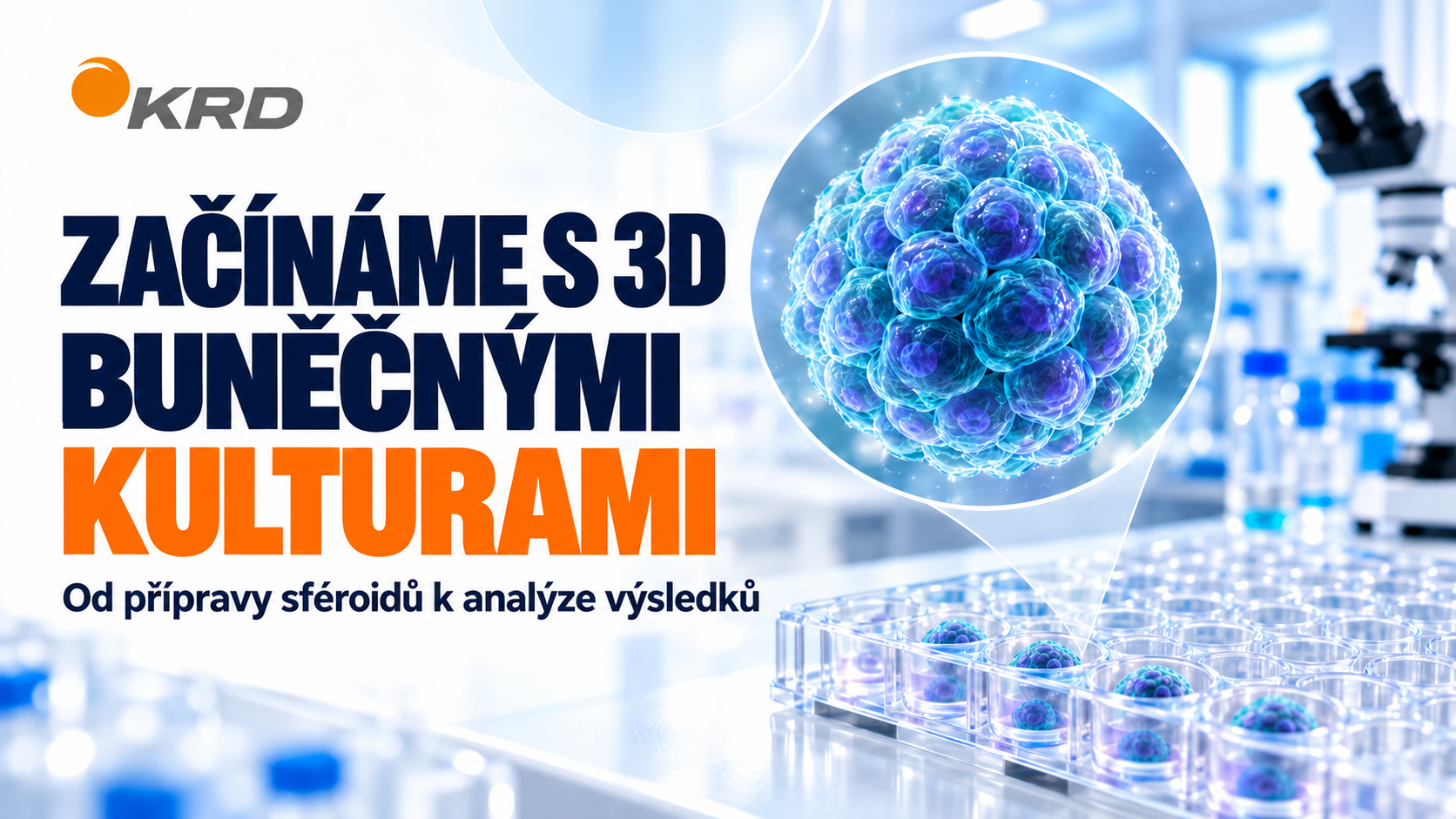Začínáme s 3D buněčnými kulturami: od přípravy sféroidů k analýze výsledků  