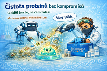 Čisté proteiny bez nervů: jde to snadněji, než myslíte